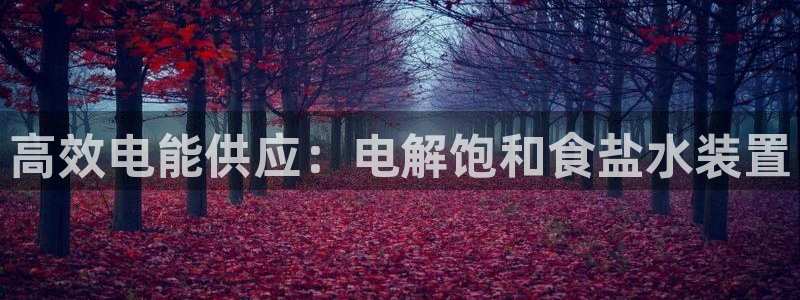 威九国际韩国