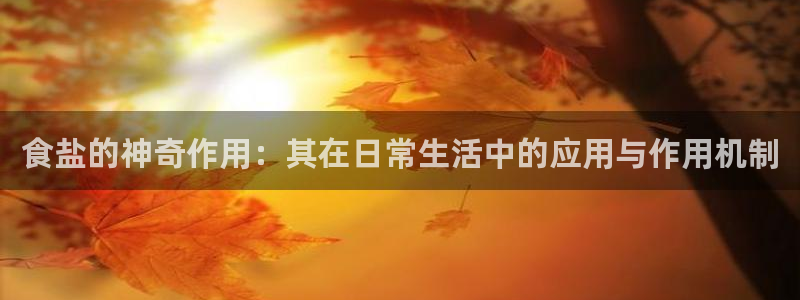 威九国际清砖码头怎么样