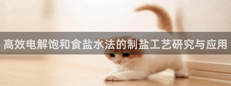 威九国际ppt免费下载
