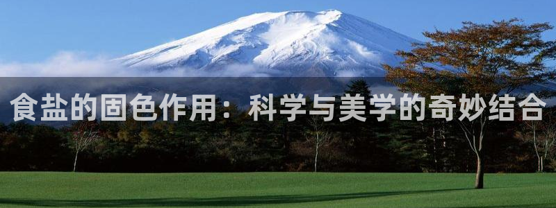 威九国际的女主
