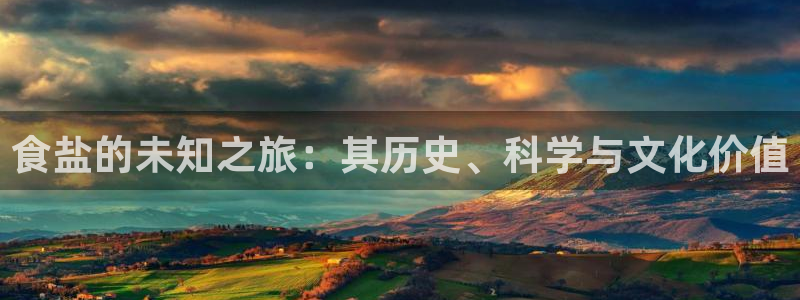 威九国际ft