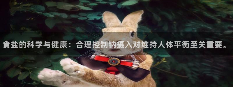 威九国际网站经常打不开