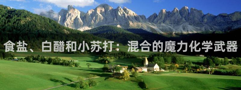 威九国际成长模式
