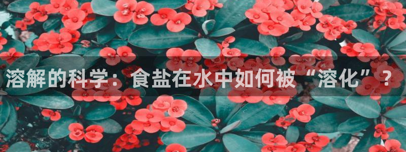 威九国际66m免费下载