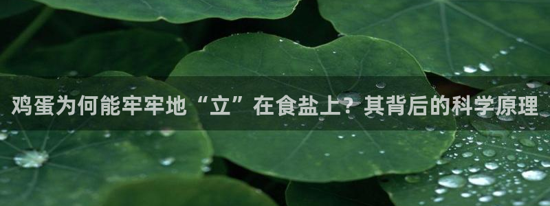 威九国际FF