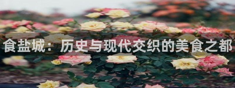 威九国际网页看视频弹窗的广告拦截插件：食盐城：历史与现代交织
