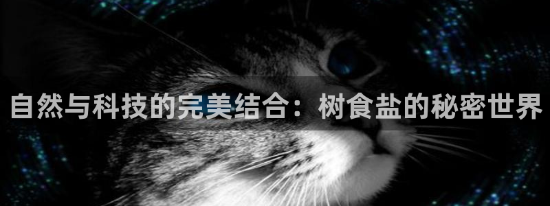 威九国际如何下载