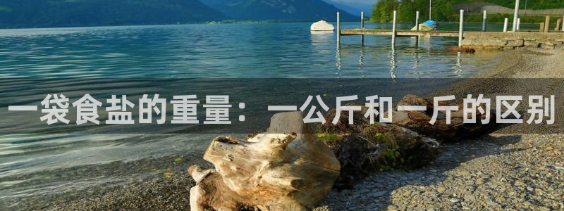 威九国际集团66m一6在线