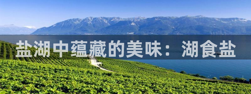 威九国际78m小说