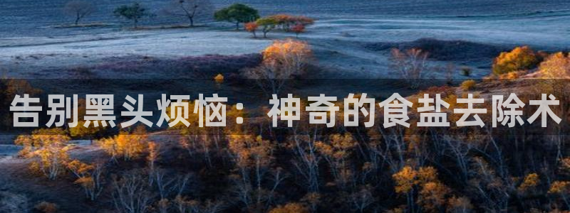 威九国际网站经常打不开怎么办