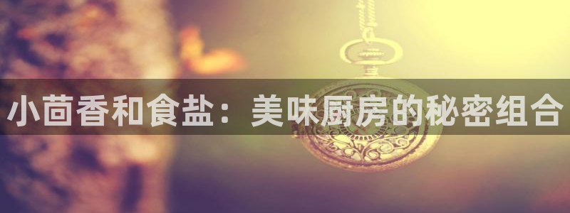 威九国际小广告