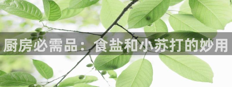 威九国际app网站官网