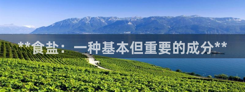 威九国际可以提现吗