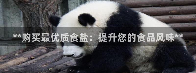 威九国际可以退钱吗怎么退款
