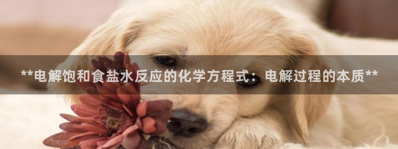 威九国际真人游戏