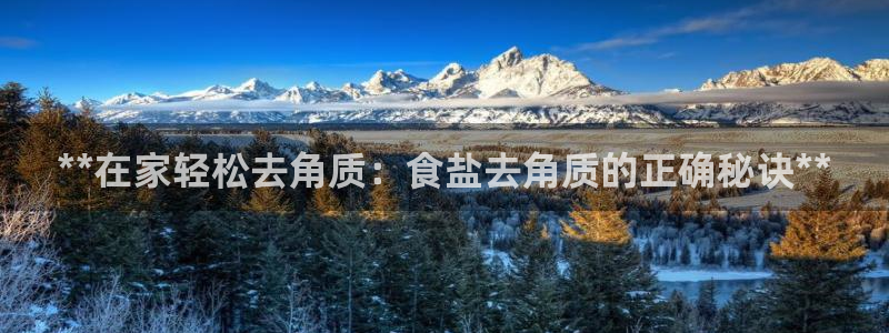 威九国际的金融服务