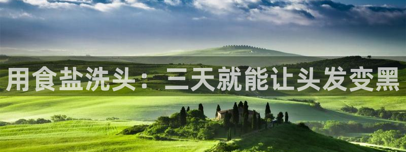 威九国际网站入口地址查询