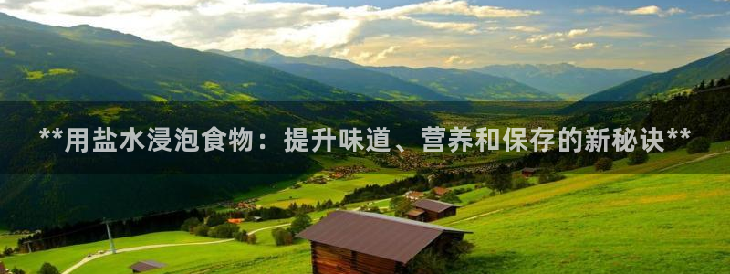 威九国际软件