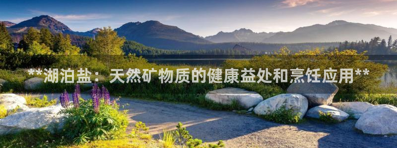 威九国际app下载