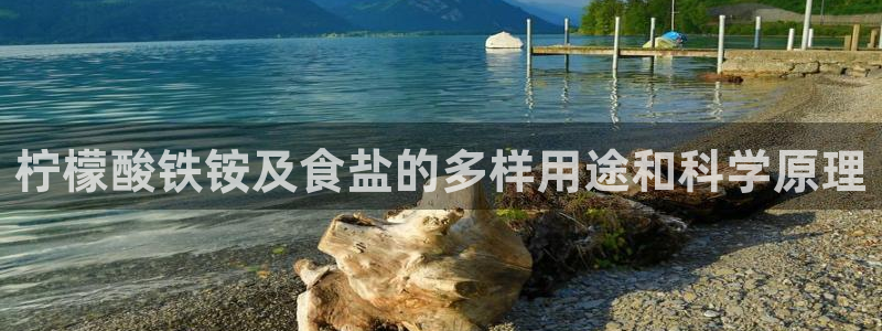 威九国际Info