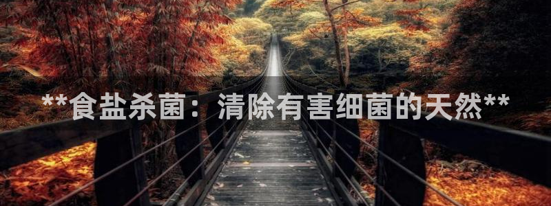 威九国际66