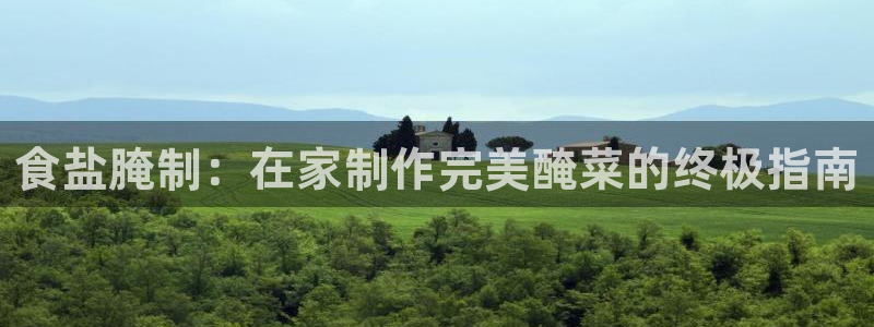 威九国际女明星