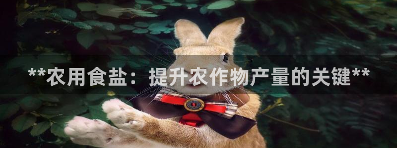 威九国际能提现吗