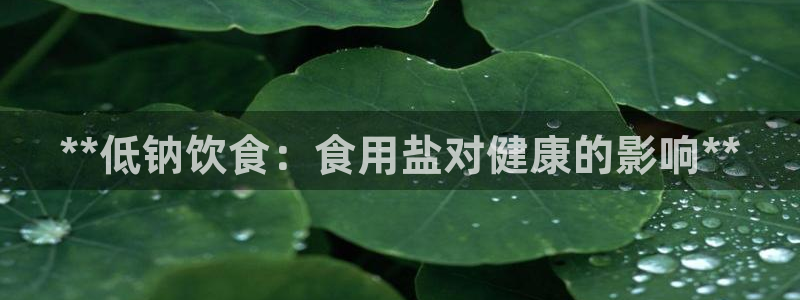 威九国际APP那个地方