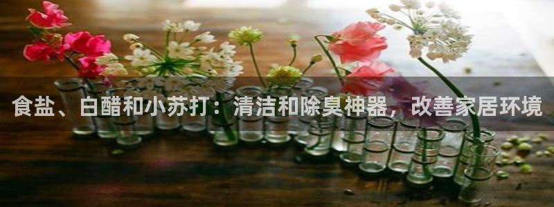 威九国际小说