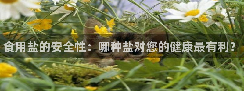 威九国际78mb42斗罗大陆