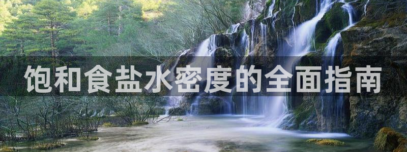 威九国际系列