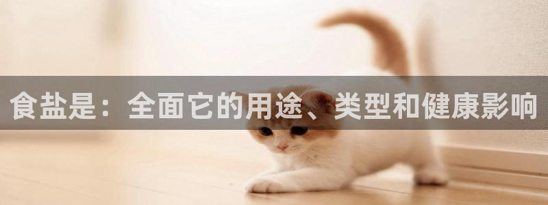威九国际免费ppt网址