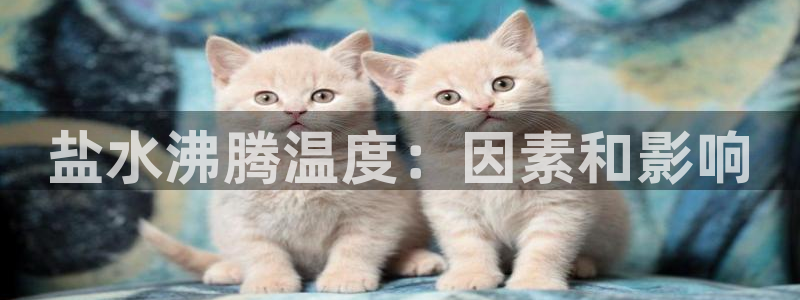 威九国际哪国的