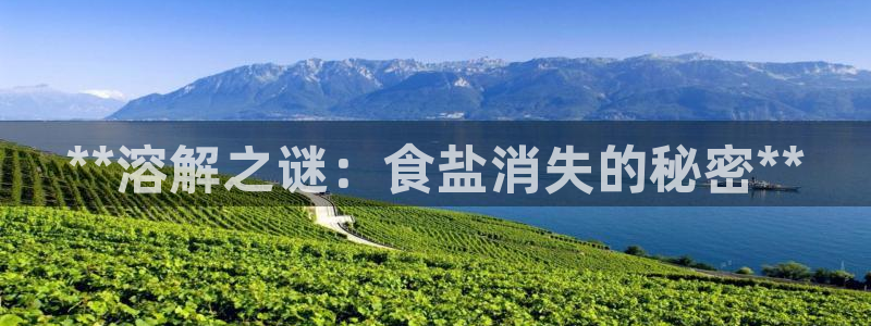 66m威九国际成长模式