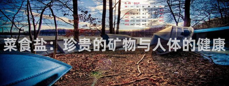 威九国际小说