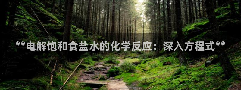 保定威九网络科技有限公司招聘