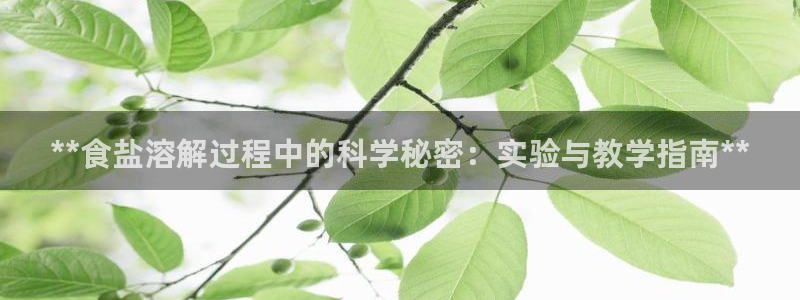 威九国际网站客服电话多少号码