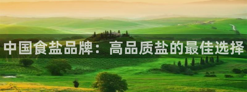 威九国际v8