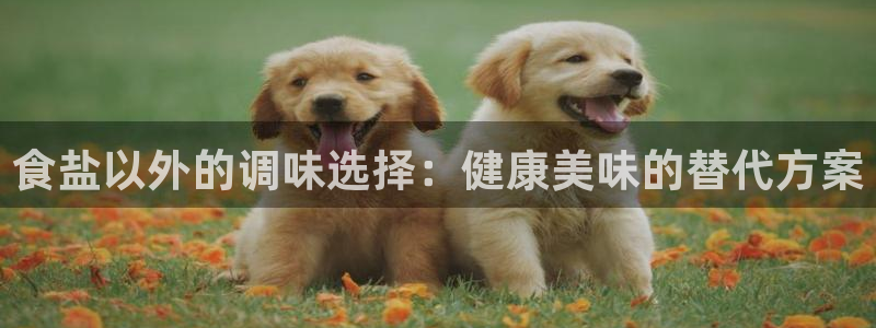 威九国际66m免费下载
