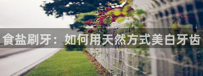 威九国际合作伙伴有哪些