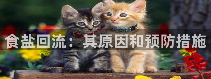 威九国际网站入口&rdpuo