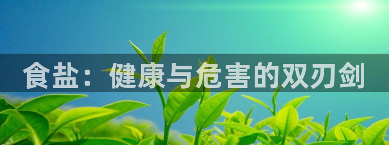 保定威九网络科技有限公司是干嘛的