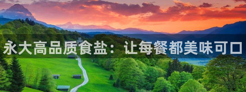 威九国际网站入口官网免费