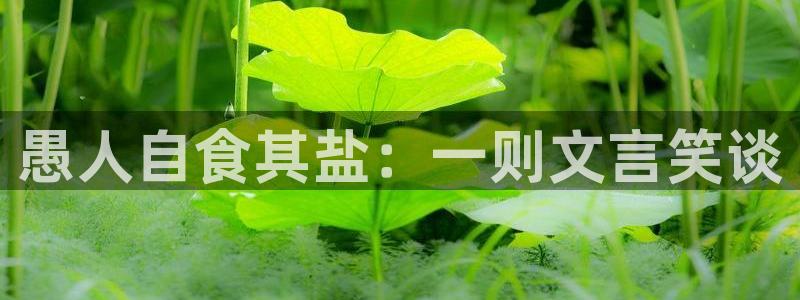 威九国际网站更新