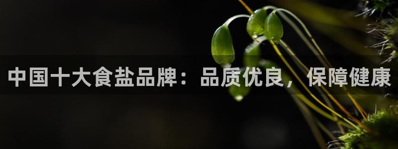 威九国际网站进入产品中心怎么进
