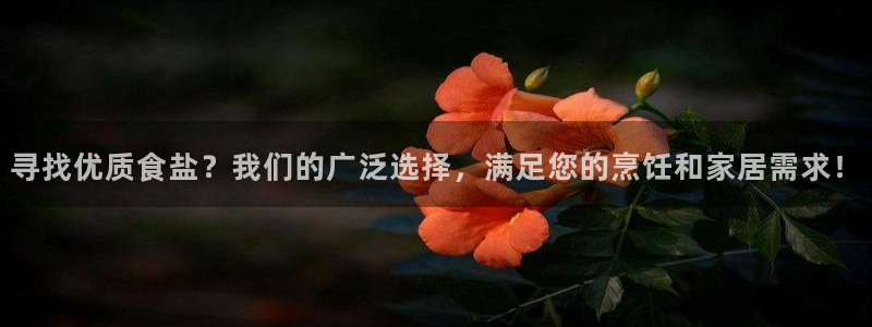 威九国际后爸