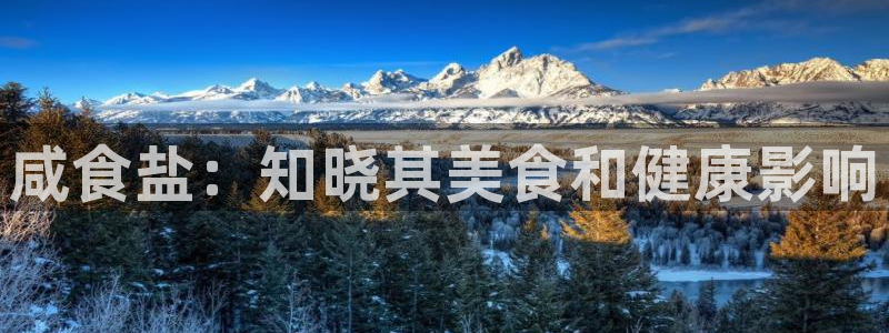 78mapp威九国际人民网