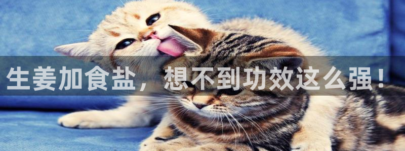 78mapp威九国际媒体央视