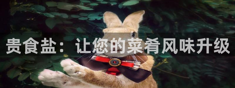 威九国际网站入口官网首页下载