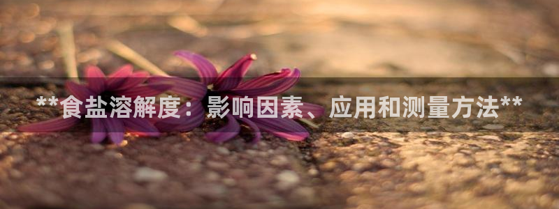 威九国际观看